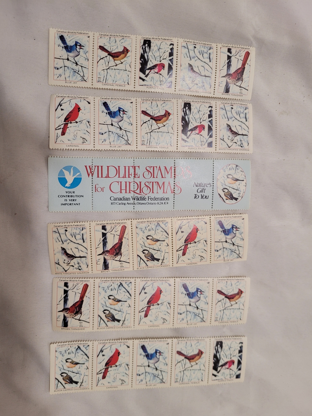 Vintage Wildlife Stamps for Christmas - Assorted Bird Design (Red, Blue, Brown)